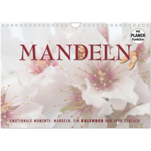 Calvendo Verlag Emotionale Momente: Mandeln (Wandkalender 2024 Din A4 Quer) Calvendo Monatskalender