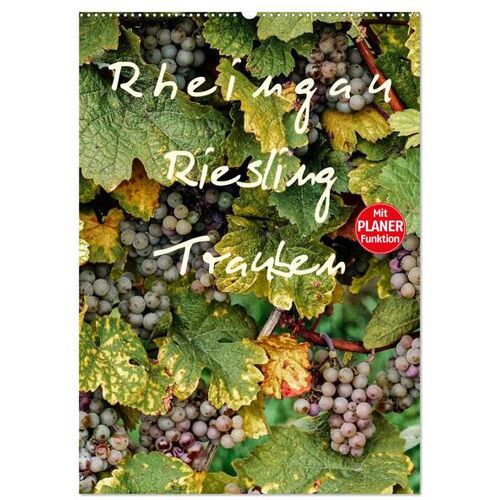 Calvendo Verlag Rheingau – Riesling Trauben (Wandkalender 2024 Din A2 Hoch) Calvendo Monatskalender