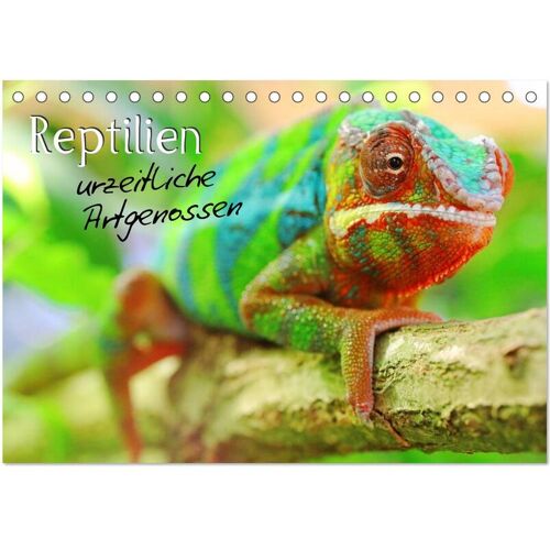 Calvendo Verlag Reptilien Urzeitliche Artgenossen (Tischkalender 2024 Din A5 Quer) Calvendo Monatskalender