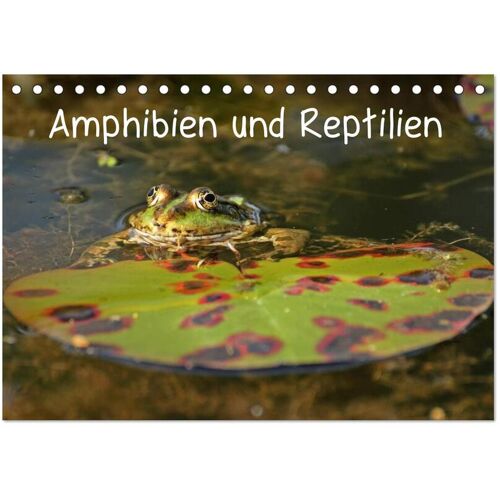 Calvendo Verlag Amphibien Und Reptilien (Tischkalender 2024 Din A5 Quer) Calvendo Monatskalender