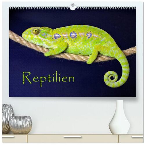 Calvendo Verlag Reptilien (Hochwertiger Premium Wandkalender 2024 Din A2 Quer) Kunstdruck In Hochglanz