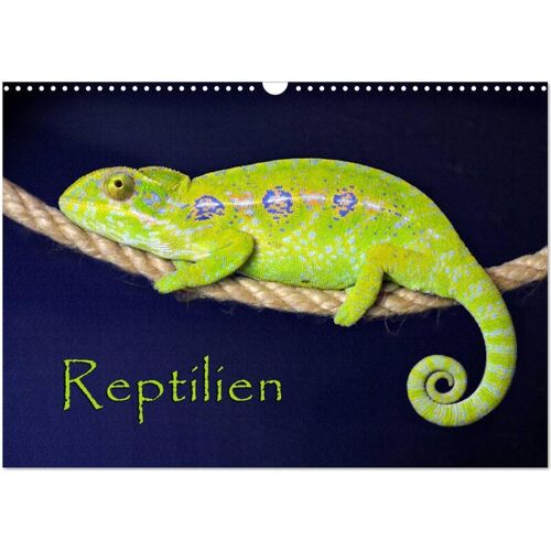 Calvendo Verlag Reptilien (Wandkalender 2024 Din A3 Quer) Calvendo Monatskalender