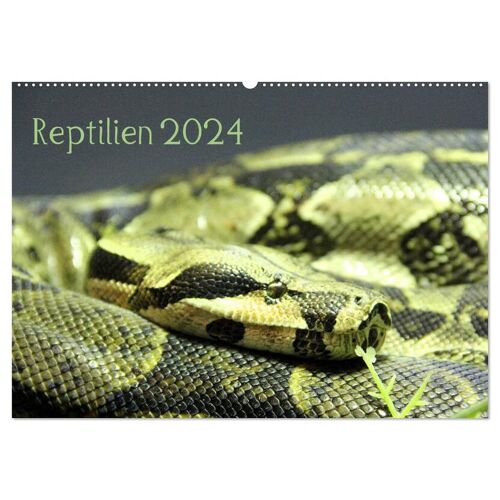 Calvendo Verlag Reptilien 2024 (Wandkalender 2024 Din A2 Quer) Calvendo Monatskalender