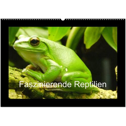 Calvendo Verlag Faszinierende Reptilien (Wandkalender 2024 Din A2 Quer) Calvendo Monatskalender