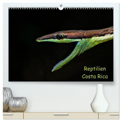 Calvendo Verlag Reptilien Costa Rica (Hochwertiger Premium Wandkalender 2024 Din A2 Quer) Kunstdruck In Hochglanz