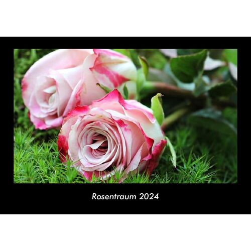 Vero Kalender Rosentraum 2024 Fotokalender Din A3