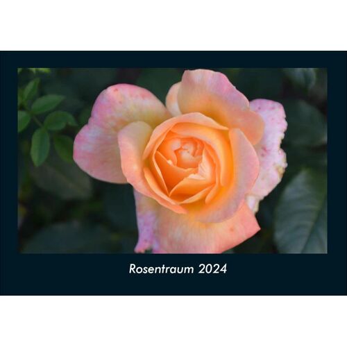 Vero Kalender Rosentraum 2024 Fotokalender Din A4