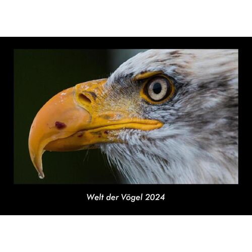 Vero Kalender Welt Der Vögel 2024 Fotokalender Din A3