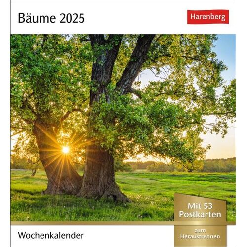 Harenberg Bäume Postkartenkalender 2025 - Wochenkalender Mit 53 Postkarten