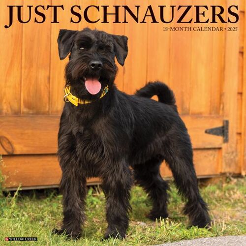 Willow Creek Press Just Schnauzers 2025 12 X 12 Wall Calendar