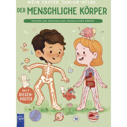 Yo Yo Books Mein Erster Junior-Atlas: Der Menschliche Körper