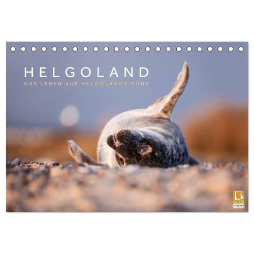 Helgoland - Das Leben Auf Der Düne Helgolands (Tischkalender 2025 Din A5 Quer) Calvendo Monatskalender