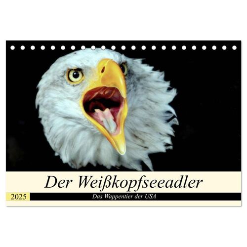 Der Weißkopfseeadler - Das Wappentier Der Usa (Tischkalender 2025 Din A5 Quer) Calvendo Monatskalender