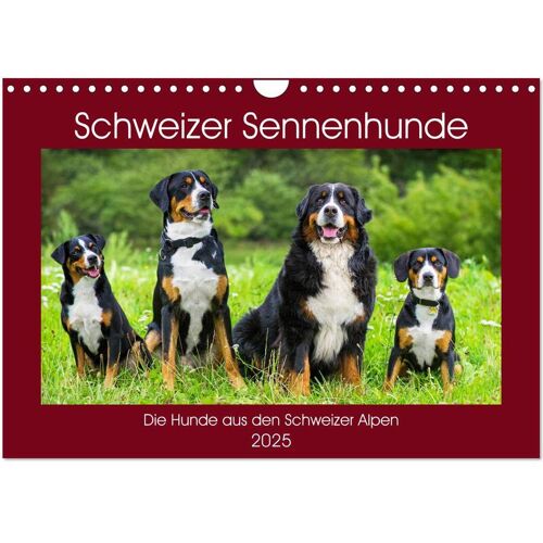 Schweizer Sennenhunde - Die Hunde Aus Den Schweizer Alpen (Wandkalender 2025 Din A4 Quer) Calvendo Monatskalender