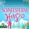 dp audiobooks Schneesturm Ins Herz