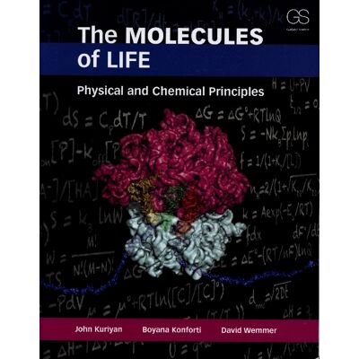 Symantec The Molecules Of Life Symantec The Molecules Of Life