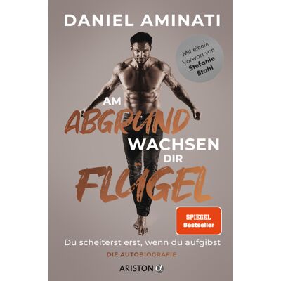 Ariston Am Abgrund Wachsen Dir Flügel Ariston Am Abgrund Wachsen Dir Flügel