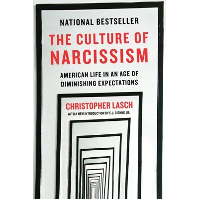 Symantec The Culture Of Narcissism Symantec The Culture Of Narcissism