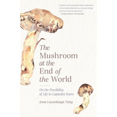 Princeton Mushroom At The End Of The World Princeton Mushroom At The End Of The World