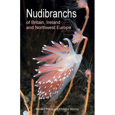 Princeton Nudibranchs Of Britain Ireland And Northwest Europe Princeton Nudibranchs Of Britain Ireland And Northwest Europe