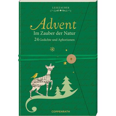 Coppenrath Brief-Adventskalenderbuch - Advent Im Zauber Der Natur Coppenrath Brief-Adventskalenderbuch - Advent Im Zauber Der Natur