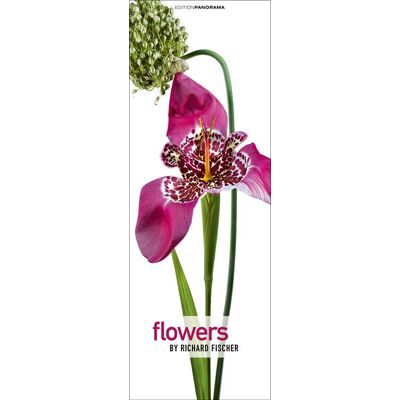 Edition Panorama GmbH Flowers Edition Panorama GmbH Flowers