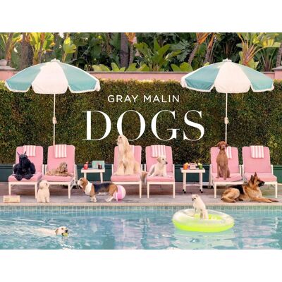 Abrams Gray Malin: Dogs Abrams Gray Malin: Dogs