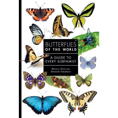 Princeton Butterflies Of The World Princeton Butterflies Of The World