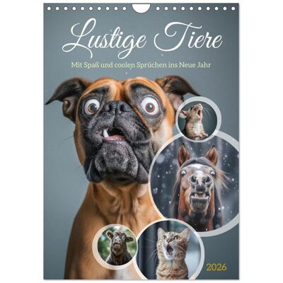 Lustige Tiere (Wandkalender 2026 Din A4 Hoch) Calvendo Monatskalender Lustige Tiere (Wandkalender 2026 Din A4 Hoch) Calvendo Monatskalender