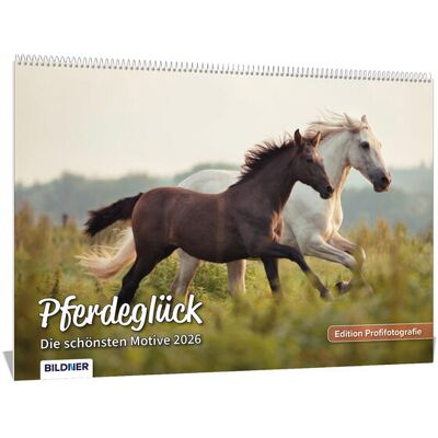 BILDNER Verlag Pferde Kalender 2026 Pferdeglück! Die Schönsten Pferdemotive Und Aufnahmen 2026 BILDNER Verlag Pferde Kalender 2026 Pferdeglück! Die Schönsten Pferdemotive Und Aufnahmen 2026