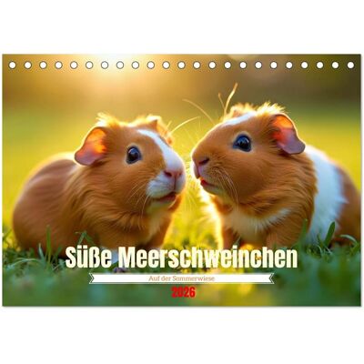 Süße Meerschweinchen (Tischkalender 2026 Din A5 Quer) Calvendo Monatskalender Süße Meerschweinchen (Tischkalender 2026 Din A5 Quer) Calvendo Monatskalender