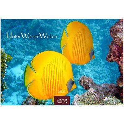 ART Unterwasserwelten Kalender 2027 - Wandkalender Fotokalender Naturkalender 35x50cm Großformat - Atemberaubende Meereslandschaften & Korallenriffe. ART Unterwasserwelten Kalender 2027 - Wandkalender Fotokalender Naturkalender 35x50cm Großformat - Atemberaubende Meereslandschaften & Korallenriffe.
