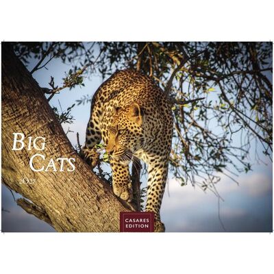 ART Big Cats Kalender 2027 - Wandkalender Fotokalender Tierkalender 35x50cm - Wunderschöner Großkatzen-. Mit Beeindruckenden Fotos Von Tiger Löwen Jaguar Gepard Luchs Puma. ART Big Cats Kalender 2027 - Wandkalender Fotokalender Tierkalender 35x50cm - Wunderschöner Großkatzen-. Mit Beeindruckenden Fotos Von Tiger Löwen Jaguar Gepard Luchs Puma.
