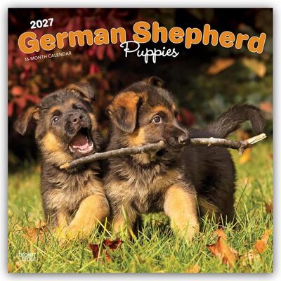 Browntrout Verlags GmbH German Shepherd Puppies - Deutsche Schäferhund Welpen 2027 - 16-Monatskalender Browntrout Verlags GmbH German Shepherd Puppies - Deutsche Schäferhund Welpen 2027 - 16-Monatskalender