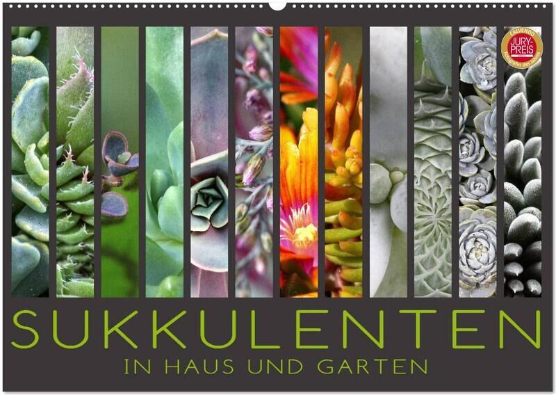 Calvendo Verlag Sukkulenten In Haus Und Garten (Wandkalender 2024 Din A2 Quer) Calvendo Monatskalender