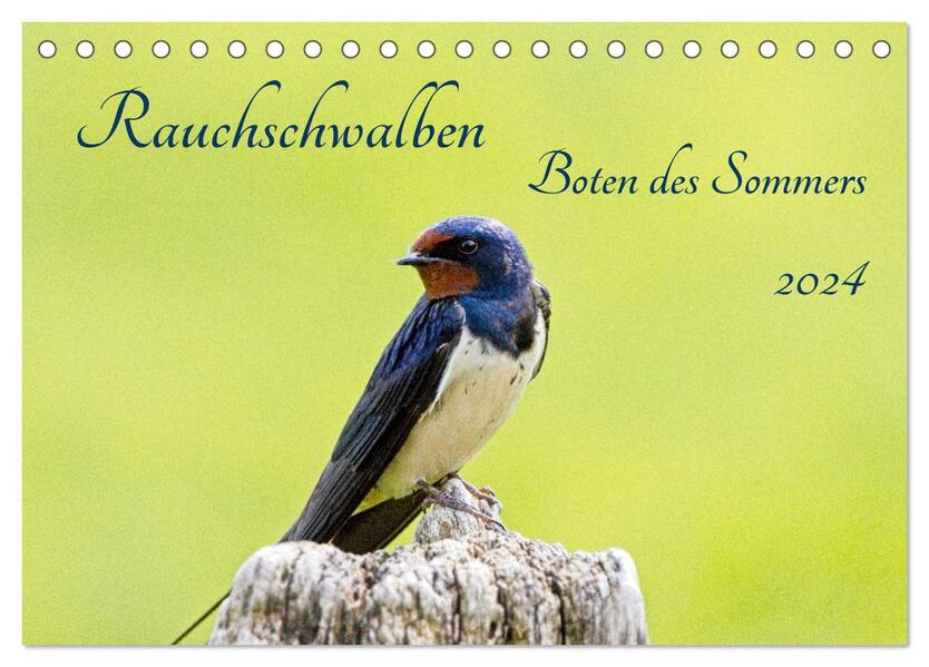 Rauchschwalben - Boten Des Sommers (Tischkalender 2024 Din A5 Quer) Calvendo Monatskalender