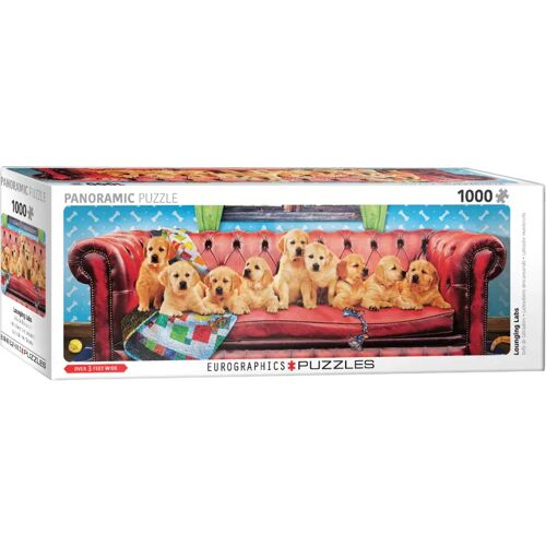 Eurographics 6010-5630 - Labrador Hundesofa Panorama Puzzle - 1000 Teile