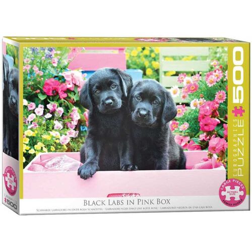 Eurographics 6500-5462 - Schwarze Labradore In Einer Rosa Schachtel Puzzle 500 Teile