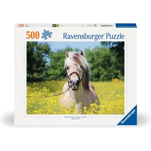 Ravensburger Spieleverlag Ravensburger Puzzle 12000210 - Pferd Im Rapsfeld - 500 Teile Puzzle Für Erwachsene Und Kinder Ab 10 Jahren Pferde-Puzzle