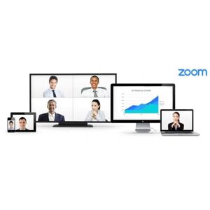 Zoom Meetings Business - Lizenz 1 Jahr (mind. 10 Stück) User Staffel: 100-249