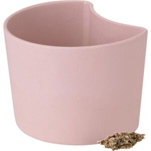 RIG-TIG by stelton YOUR TREE Blumentopf mit Samen - pink - 7x9,5x8,3 cm