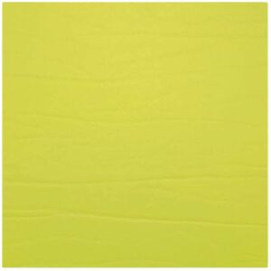 Daff leatherixx Dumbo Untersetzer für Gläser - lime - 10x10 cm