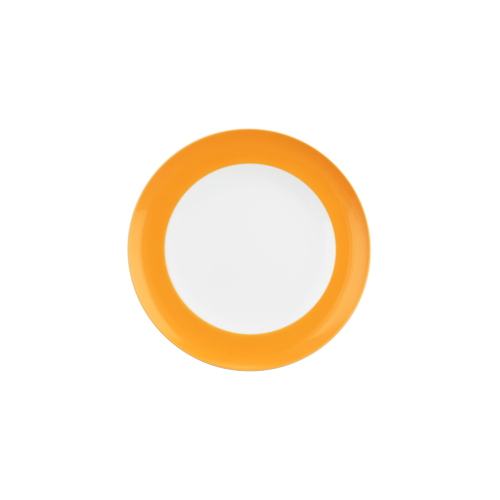 Seltmann Weiden Liberty Speiseteller rund 27 cm Fahne Pure Colors mango orange