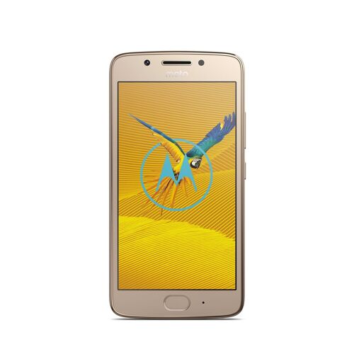Lenovo Motorola Moto G5 16gb [Dual-Sim] Fine Gold