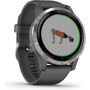 vivoactive 2