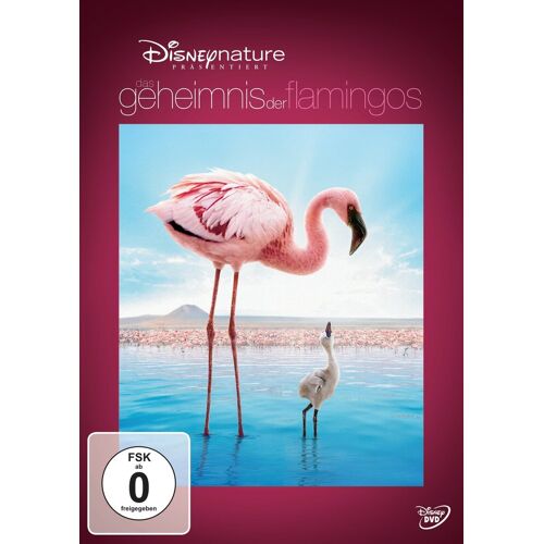 Das Geheimnis Der Flamingos