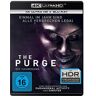 The Purge 1 - Die Säuberung  (4k Ultra Hd) (+ Blu-Ray 2d)