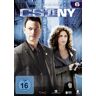 Csi: Ny - Season 6 [6 Dvds]