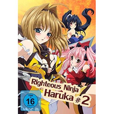 Righteous Ninja - Haruka 2 Righteous Ninja - Haruka 2