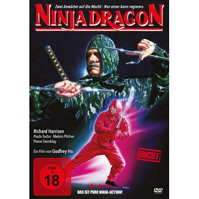 Ninja Dragon Ninja Dragon